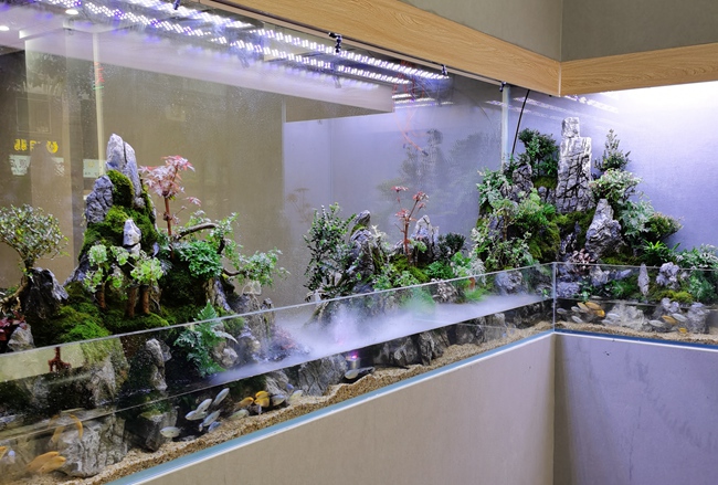 广州荔湾区-门店屏风景观