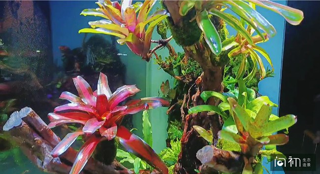 广州荔湾区-百艺城南四门对面