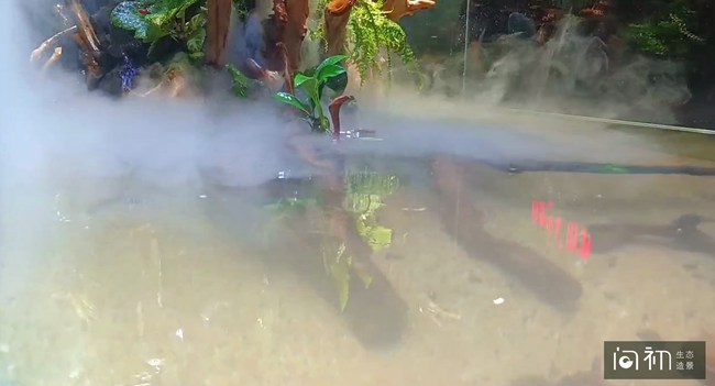 广州荔湾区-百艺城南四门对面