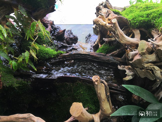 广州荔湾区-百艺城南四门对面