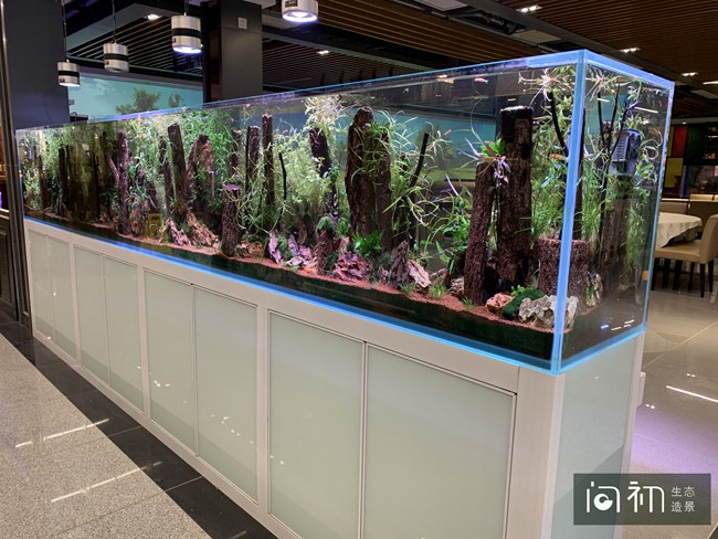 广州荔湾区花卉博览园水族餐厅