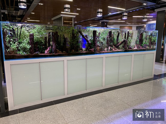 广州荔湾区花卉博览园水族餐厅