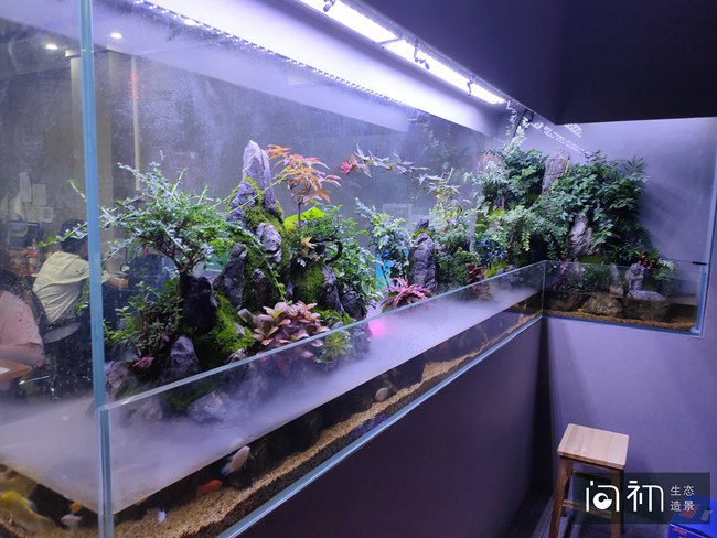 首饰门店屏风水陆缸造景