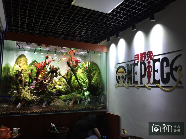 广州天河区-公司入口景观