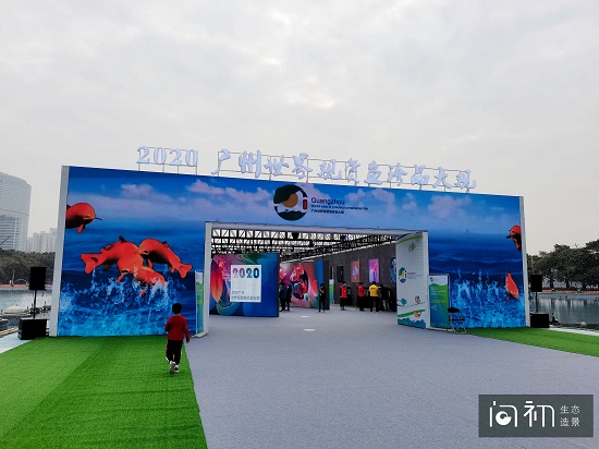 广州南沙水族展览照片1