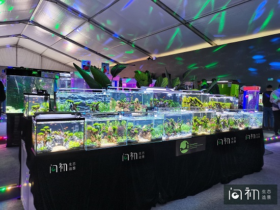 广州南沙水族展览照片3