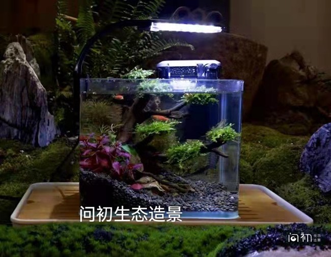 水景缸（特小型）