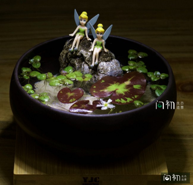 微景观（水钵型）