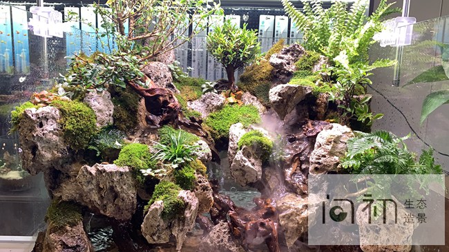 佛山南海区-桂城海八东路门店