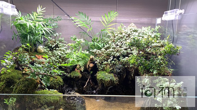 佛山南海区-桂城海八东路门店