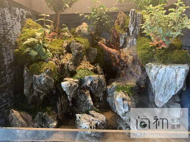 佛山南海区-桂城海八东路门店